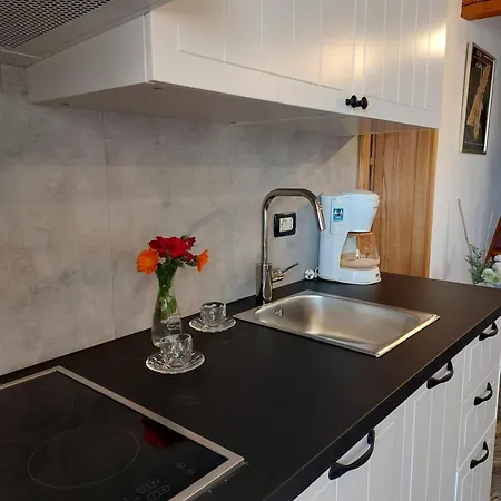 Apartment Guesthouse Mila *